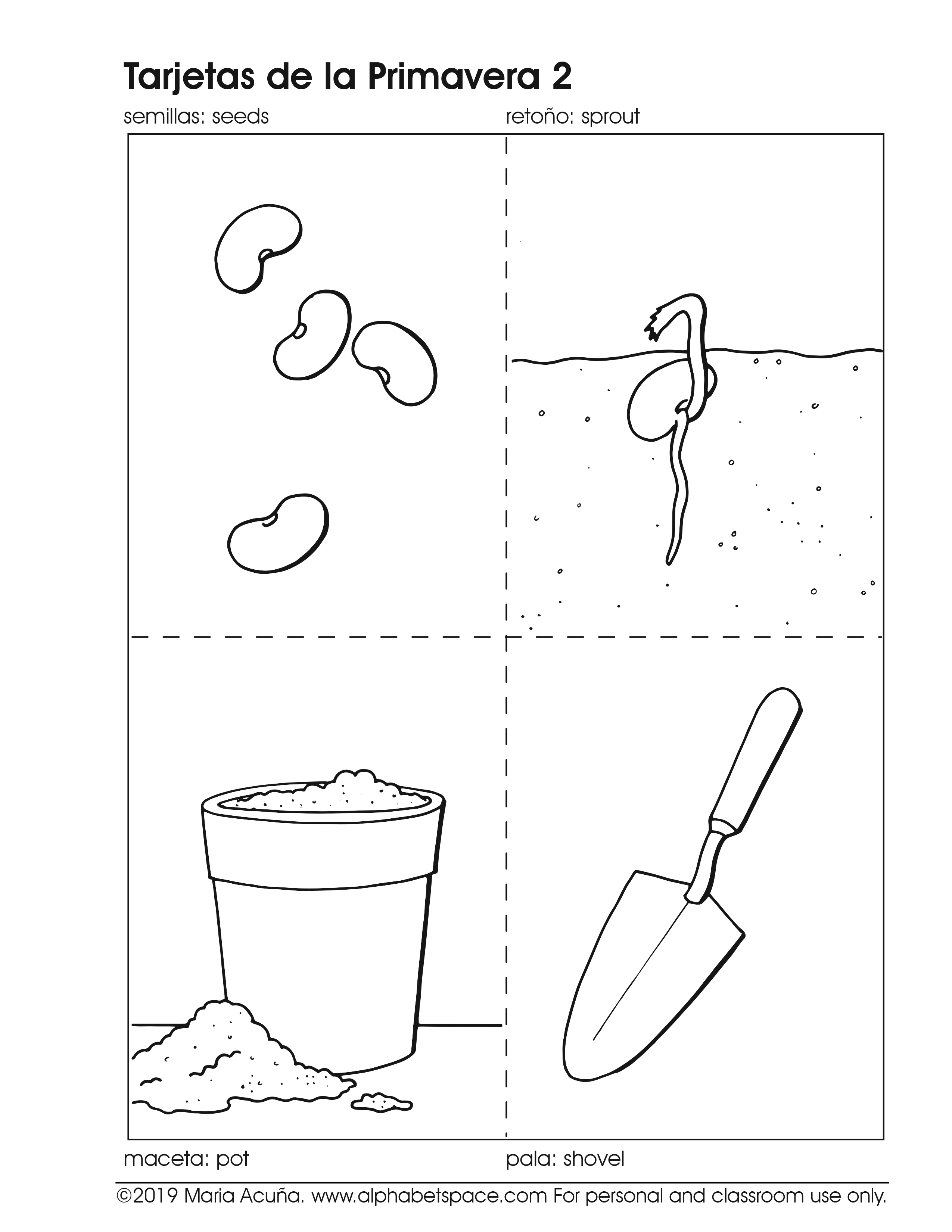 Tarjetas Primavera 2 2019.jpg